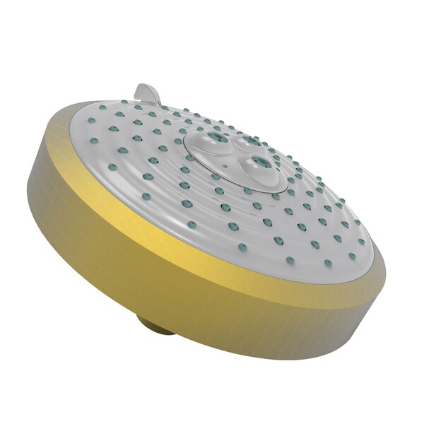 Newport Brass Multifunction Showerhead in Satin Bronze (Pvd) 2143-10 - main